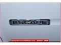 2008 Light Sage Metallic Ford Escape XLT V6 4WD  photo #4