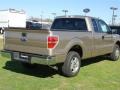 Pale Adobe Metallic - F150 XLT SuperCab Photo No. 7