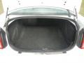 Stone White - Charger 3.5L Photo No. 4