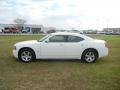 Stone White - Charger 3.5L Photo No. 5