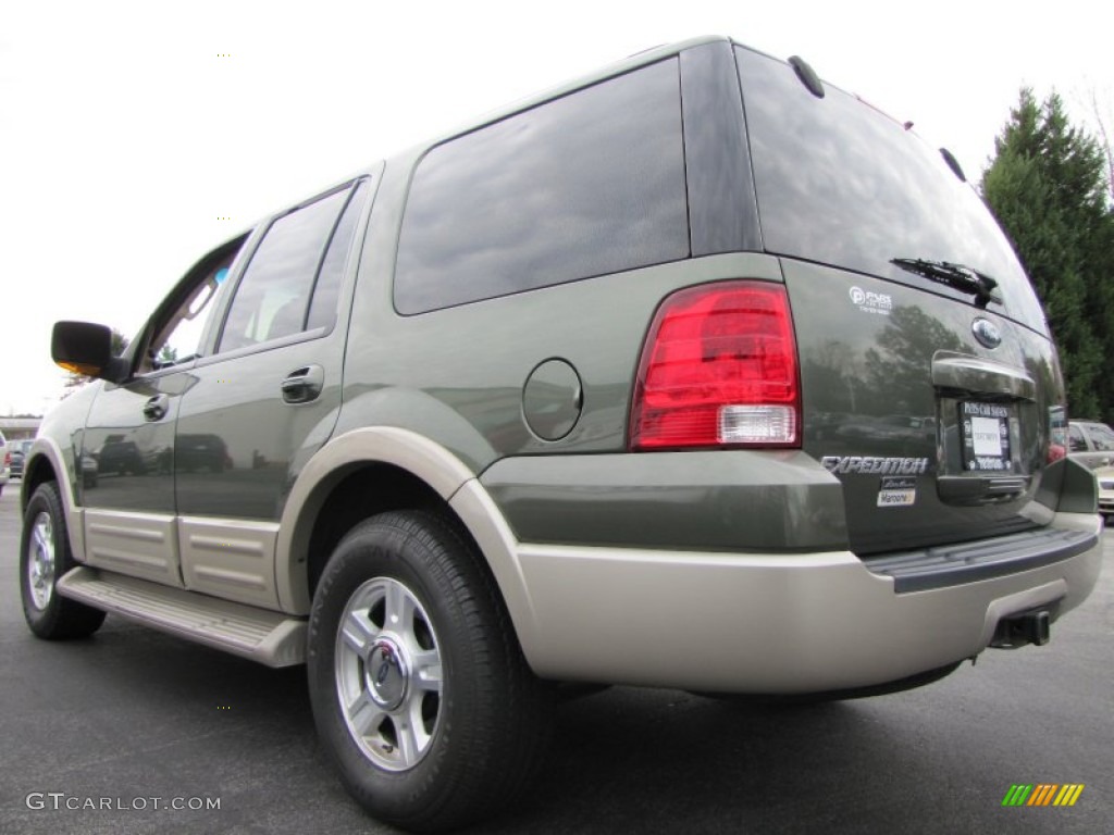 2005 Expedition Eddie Bauer - Estate Green Metallic / Medium Parchment photo #2