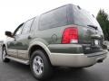 2005 Estate Green Metallic Ford Expedition Eddie Bauer  photo #2