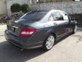 2009 Steel Grey Metallic Mercedes-Benz C 300 Luxury  photo #3