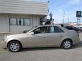 Sand Storm - CTS Sedan Photo No. 4