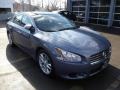 2010 Ocean Gray Nissan Maxima 3.5 SV Premium  photo #2