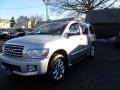 Silver Indulgence 2009 Infiniti QX 56 4WD