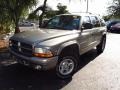 Bright Platinum Metallic - Durango SLT 4x4 Photo No. 4