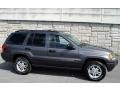 Graphite Metallic 2004 Jeep Grand Cherokee Laredo 4x4 Exterior