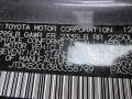 Magnetic Gray Metallic - Prius Hybrid Photo No. 29