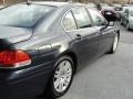 2003 Orient Blue Metallic BMW 7 Series 745i Sedan  photo #10