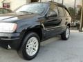 2004 Brillant Black Crystal Pearl Jeep Grand Cherokee Limited  photo #8