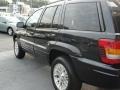 2004 Brillant Black Crystal Pearl Jeep Grand Cherokee Limited  photo #9