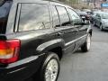 2004 Brillant Black Crystal Pearl Jeep Grand Cherokee Limited  photo #10