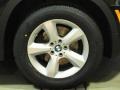 Jet Black - X5 3.0si Photo No. 27