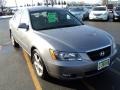 Steel Gray - Sonata LX V6 Photo No. 9