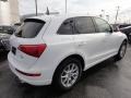 Ibis White - Q5 2.0T quattro Photo No. 6