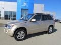 2008 Sandstorm Metallic Suzuki Grand Vitara Luxury 4x4 #60379183