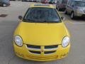 Solar Yellow - Neon SXT Photo No. 10
