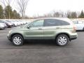 2007 Green Tea Metallic Honda CR-V EX-L 4WD  photo #4