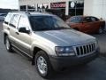 Light Pewter Metallic - Grand Cherokee Laredo 4x4 Photo No. 2