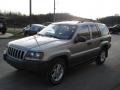 Light Pewter Metallic - Grand Cherokee Laredo 4x4 Photo No. 4