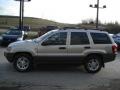 Light Pewter Metallic - Grand Cherokee Laredo 4x4 Photo No. 5