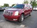 Infrared 2008 Cadillac Escalade ESV AWD