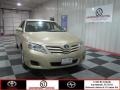 Sandy Beach Metallic - Camry  Photo No. 1