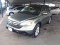 2008 Green Tea Metallic Honda CR-V EX-L 4WD  photo #27