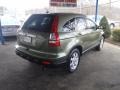 2008 Green Tea Metallic Honda CR-V EX-L 4WD  photo #30