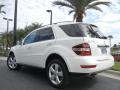 Arctic White - ML 350 4Matic Photo No. 8