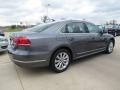 Platinum Gray Metallic - Passat 2.5L SEL Photo No. 2