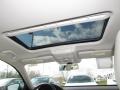 Platinum Gray Metallic - Passat 2.5L SEL Photo No. 6