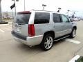 Radiant Silver Metallic - Escalade Luxury Photo No. 3