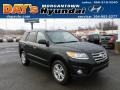 2012 Twilight Black Hyundai Santa Fe Limited V6 AWD  photo #1