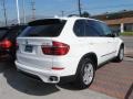 Alpine White - X5 xDrive 35i Photo No. 8