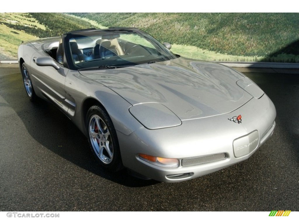 2000 Corvette Convertible - Light Pewter Metallic / Light Oak photo #1