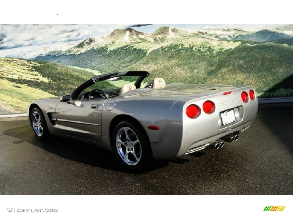 2000 Corvette Convertible - Light Pewter Metallic / Light Oak photo #3