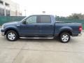 Medium Wedgewood Blue Metallic 2004 Ford F150 Gallery