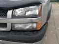 2004 Silver Birch Metallic Chevrolet Avalanche 1500 Z66  photo #9