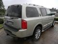 Serengeti Sand - QX 56 Photo No. 5
