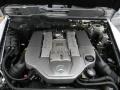  2005 G 55 AMG 5.4 Liter AMG Supercharged SOHC 24-Valve V8 Engine