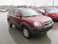 2009 Mesa Red Hyundai Tucson SE V6 4WD  photo #7