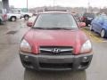 2009 Mesa Red Hyundai Tucson SE V6 4WD  photo #8