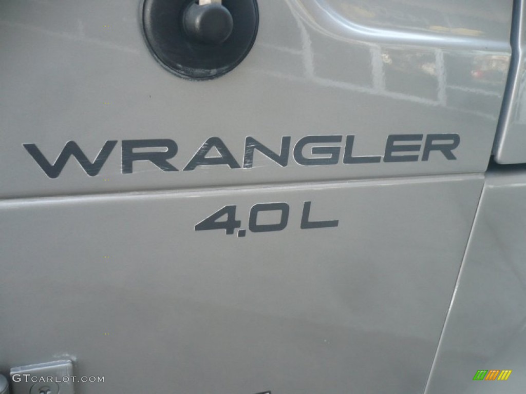 2001 Wrangler Sport 4x4 - Silverstone Metallic / Agate Black photo #13