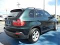 Deep Green Metallic 2009 BMW X5 xDrive30i Exterior