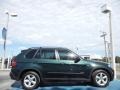 Deep Green Metallic - X5 xDrive30i Photo No. 6