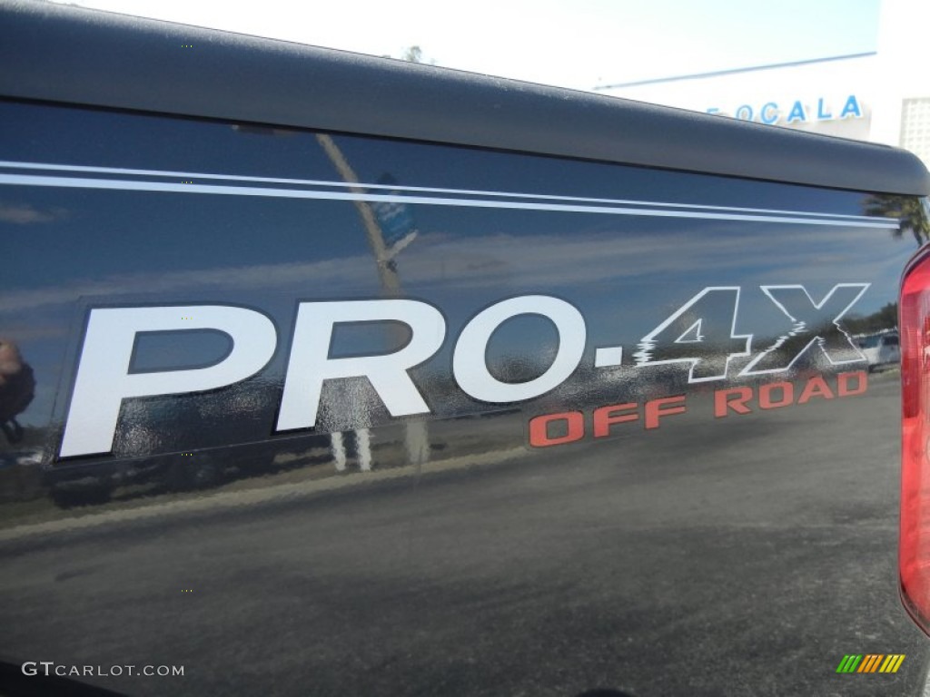 2010 Nissan Frontier Pro-4X Crew Cab 4x4 Marks and Logos Photo #60500441