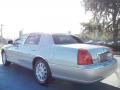 Silver Birch Metallic - Town Car Signature Photo No. 3