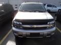 Silverstone Metallic - TrailBlazer LS 4x4 Photo No. 2